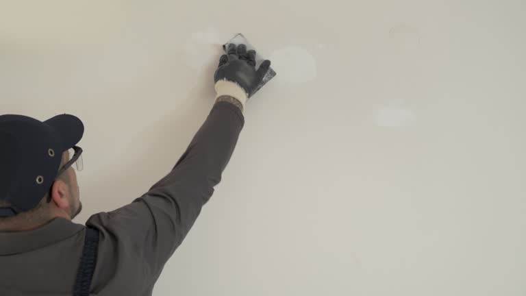 Best Pressure Washing and Painting Preparation  in Lake Delton, WI